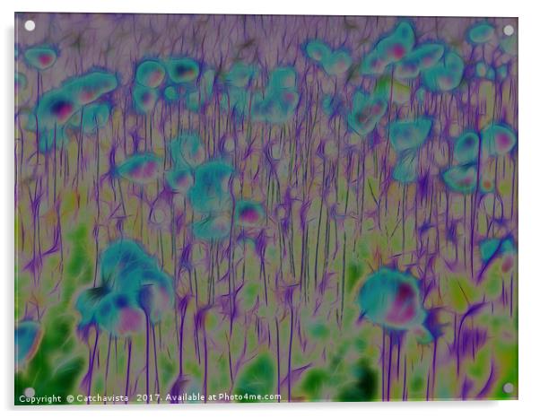 Enchanted Blue Poppy Field Acrylic by Catchavista 