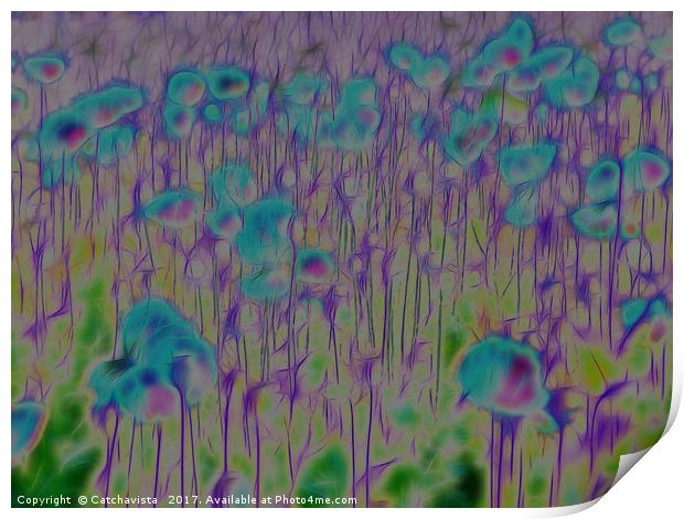 Enchanted Blue Poppy Field Print by Catchavista 