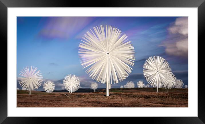 Flowers At The Farm Framed Mounted Print by Gareth Burge Photography