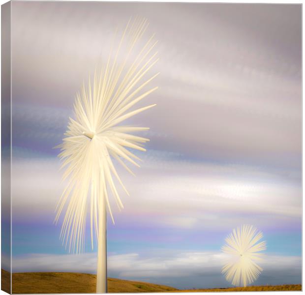 Electric Flowers Canvas Print by Gareth Burge Photography