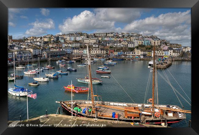 Brixham Harbour View and sailing trawler Framed Print by Rosie Spooner