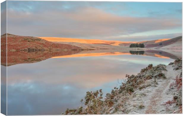 Silver and Gold lake, Elan Valley Canvas Print by Sorcha Lewis