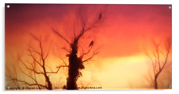 Tangerine Sunset Slice Acrylic by Sharon Lisa Clarke