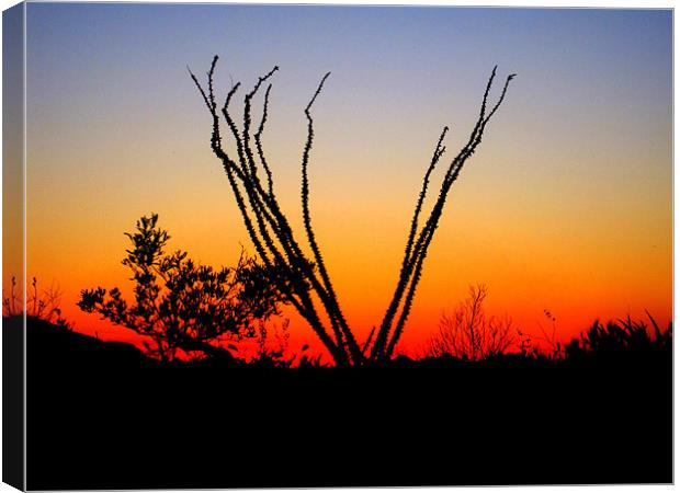 Silhouette at Sunset Canvas Print by Viraj Nagar