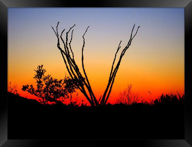 Silhouette at Sunset Framed Print by Viraj Nagar