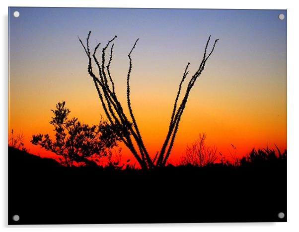 Silhouette at Sunset Acrylic by Viraj Nagar