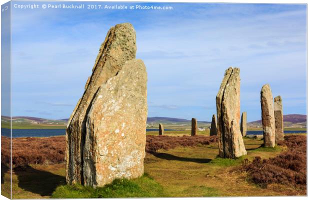 Ring of Brodgar Orkney Standing Stones Scotland Canvas Print by Pearl Bucknall