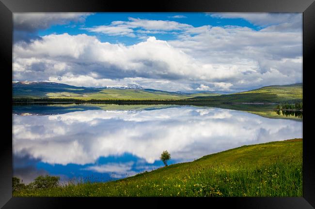 Reflection Framed Print by Hamperium Photography