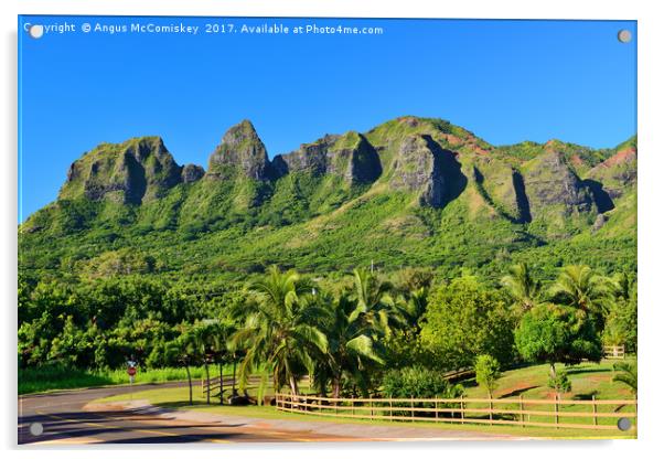 Kalalea Mountains Hawaii Acrylic by Angus McComiskey