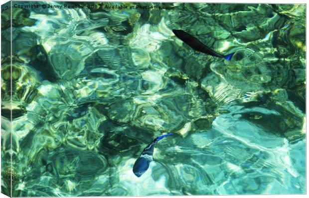 Two Coral Fishes in Topical Water Canvas Print by Jenny Rainbow