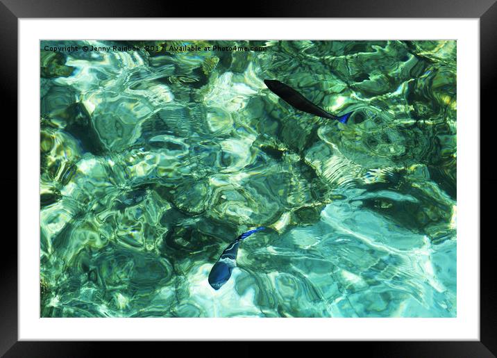 Two Coral Fishes in Topical Water Framed Mounted Print by Jenny Rainbow