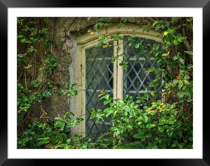 Traditional Window Framed Mounted Print by Mark Llewellyn