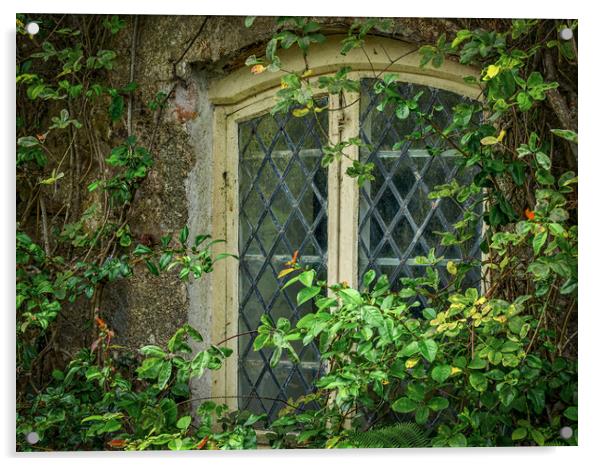 Traditional Window Acrylic by Mark Llewellyn