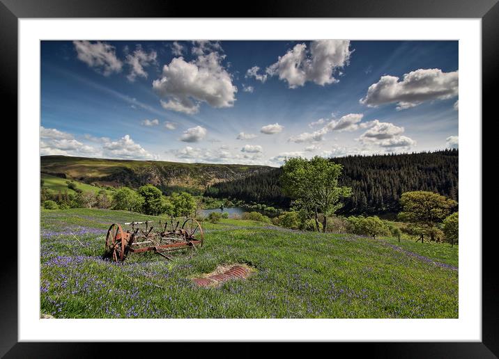 Bluebells under blue skies Framed Mounted Print by Sorcha Lewis