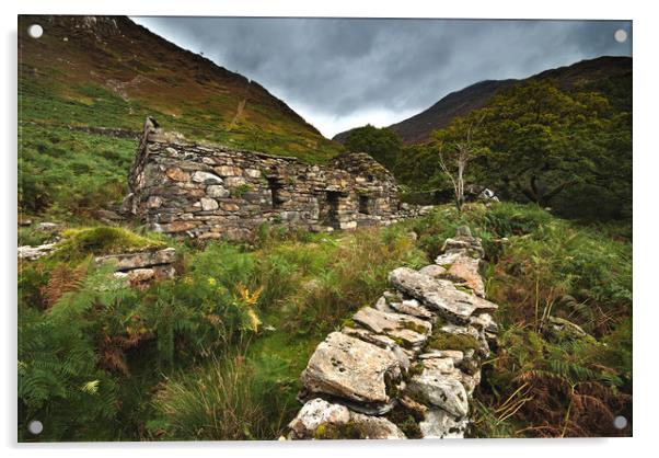 Old Welsh cottage Snowdon  Acrylic by Eddie John