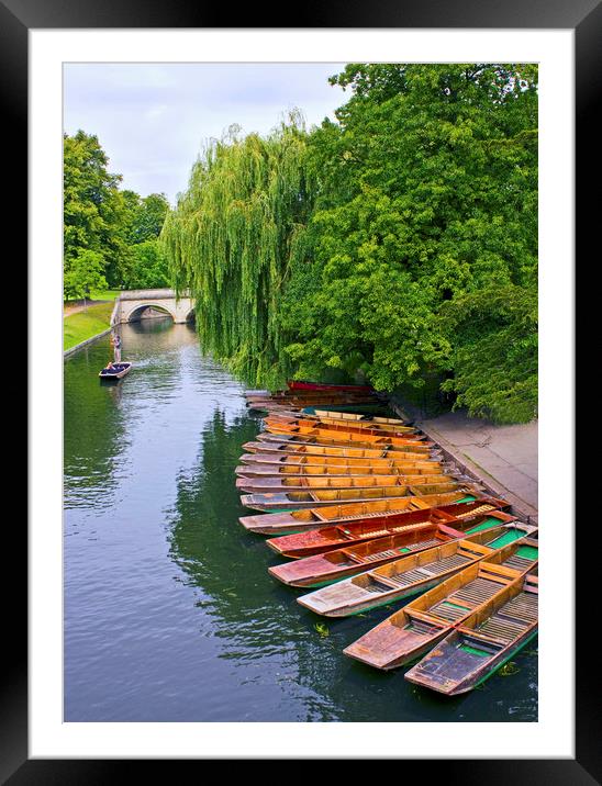 Punting On The River Cam At Cambridge Framed Mounted Print by Darren Burroughs