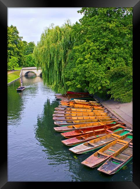 Punting On The River Cam At Cambridge Framed Print by Darren Burroughs