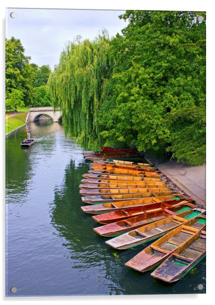 Punting On The River Cam At Cambridge Acrylic by Darren Burroughs