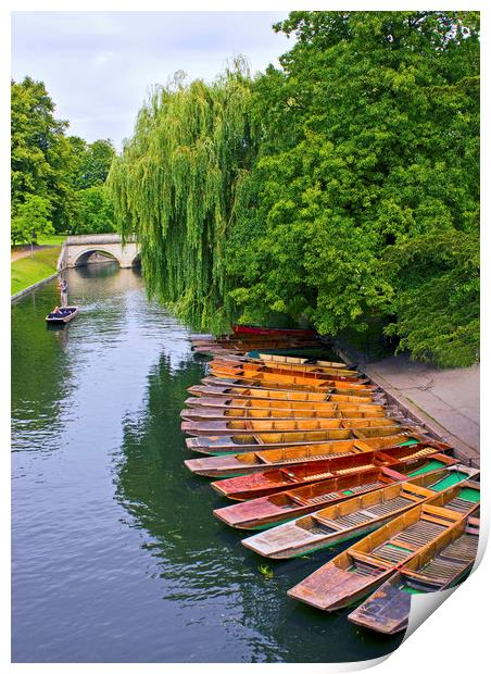 Punting On The River Cam At Cambridge Print by Darren Burroughs