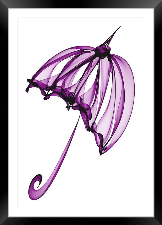 Purple Umbrella Framed Mounted Print by Ann Garrett