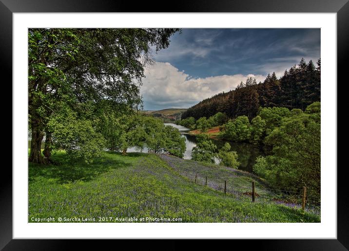 Bluebell Meadow to Penygarreg Dam Framed Mounted Print by Sorcha Lewis