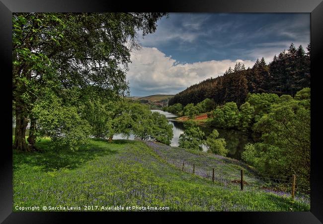 Bluebell Meadow to Penygarreg Dam Framed Print by Sorcha Lewis