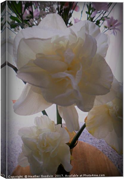 Pretty in White. Canvas Print by Heather Goodwin
