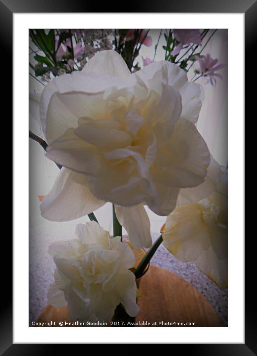 Pretty in White. Framed Mounted Print by Heather Goodwin
