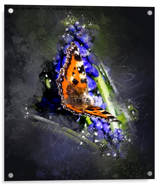 Butterfly in spring Acrylic by Andy dean