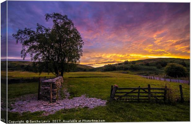 Gateway to an Elan Valley sunset Canvas Print by Sorcha Lewis