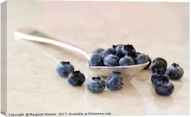 Fresh blueberries  Canvas Print by Margaret Stanton
