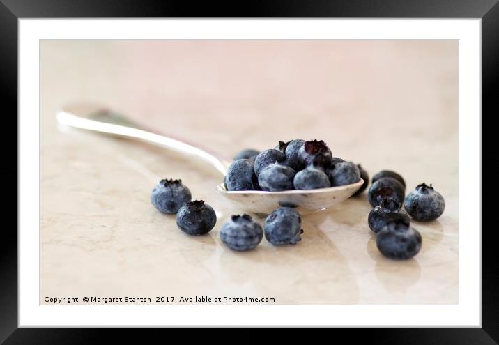 Fresh blueberries  Framed Mounted Print by Margaret Stanton