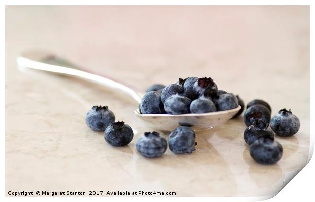 Fresh blueberries  Print by Margaret Stanton