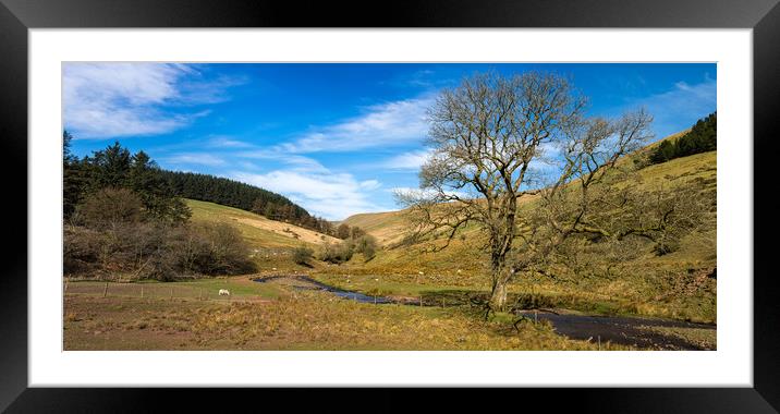 How Green is my Valley Framed Mounted Print by Andrew Richards