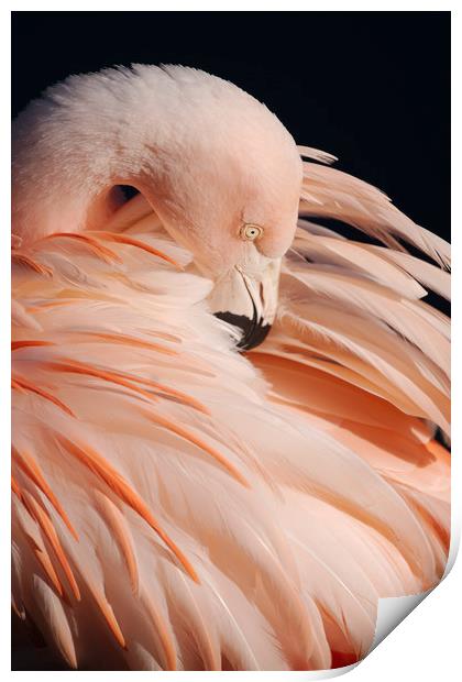 Portrait Of A Flamingo Print by rawshutterbug 