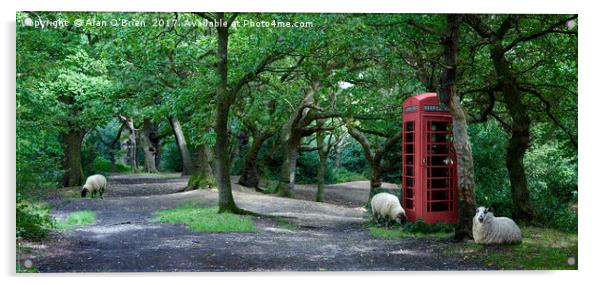 Quirky Woodland Landscape Acrylic by Alan O'Brien