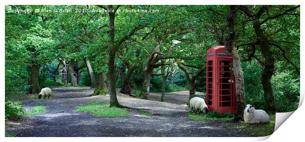 Quirky Woodland Landscape Print by Alan O'Brien