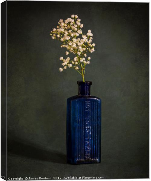 Blue Bottle with White Flowers Canvas Print by James Rowland