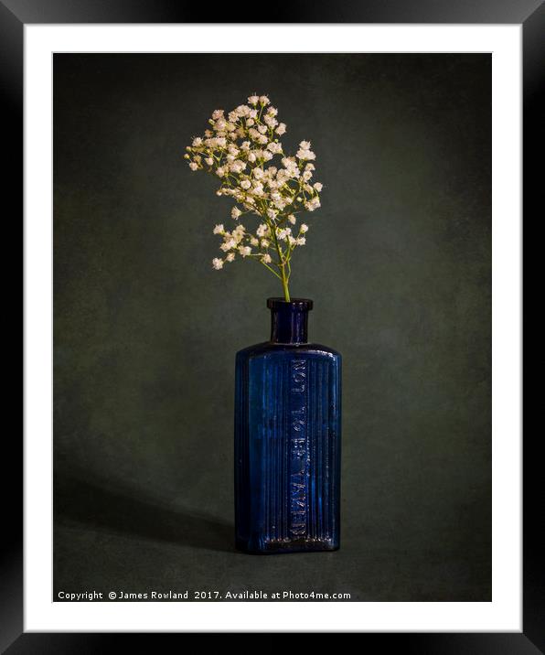 Blue Bottle with White Flowers Framed Mounted Print by James Rowland