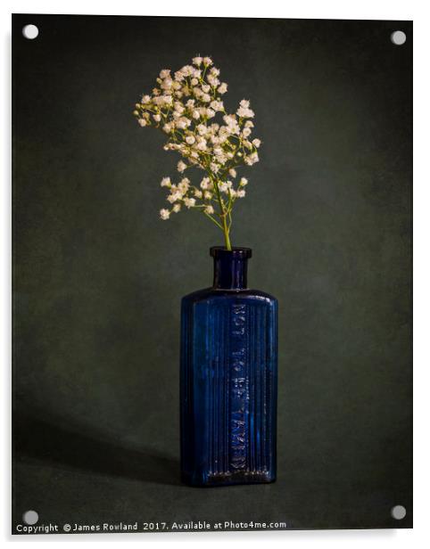 Blue Bottle with White Flowers Acrylic by James Rowland