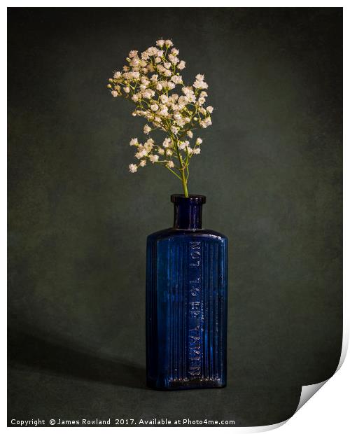 Blue Bottle with White Flowers Print by James Rowland