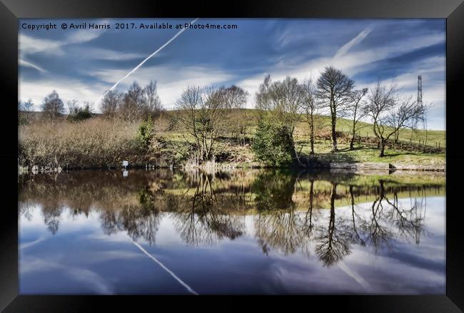 Healey Dell Pool Framed Print by Avril Harris
