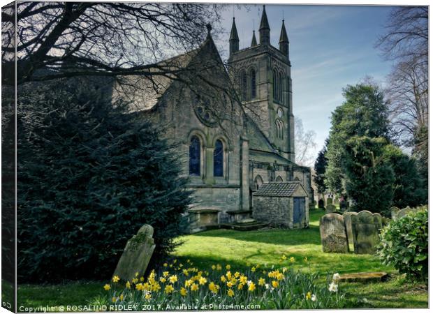 "Daffodils at the Church" Canvas Print by ROS RIDLEY