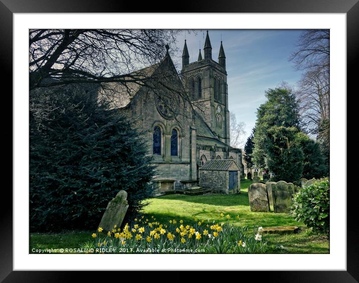 "Daffodils at the Church" Framed Mounted Print by ROS RIDLEY