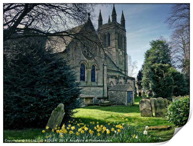 "Daffodils at the Church" Print by ROS RIDLEY