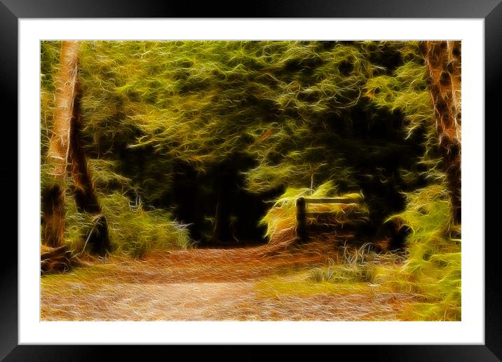 Epping Forest Framed Mounted Print by David French