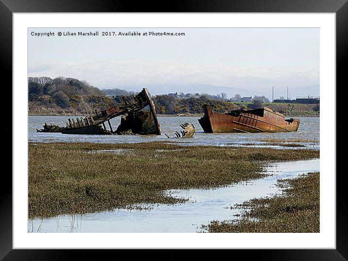 Decommissioned Trawlers on Fleetwood Marsh. Framed Mounted Print by Lilian Marshall
