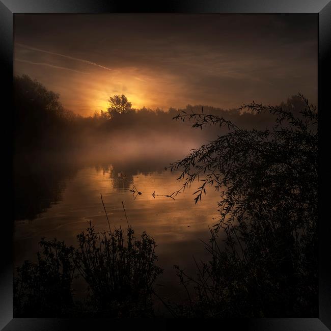 Sunrise over small pond Framed Print by Nick Lukey
