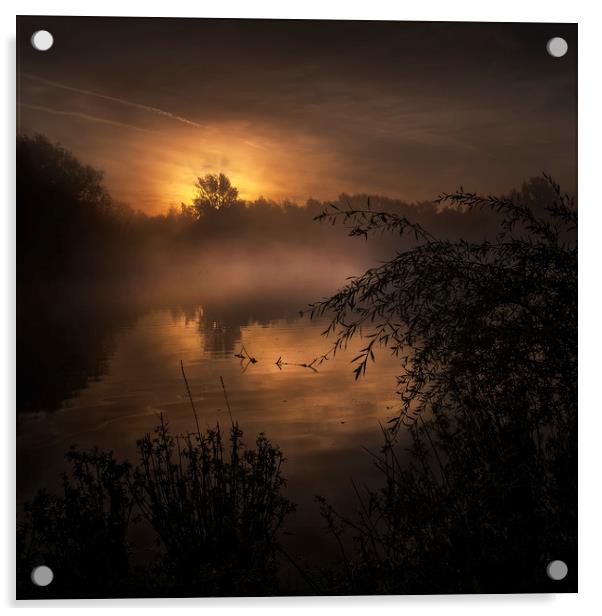 Sunrise over small pond Acrylic by Nick Lukey