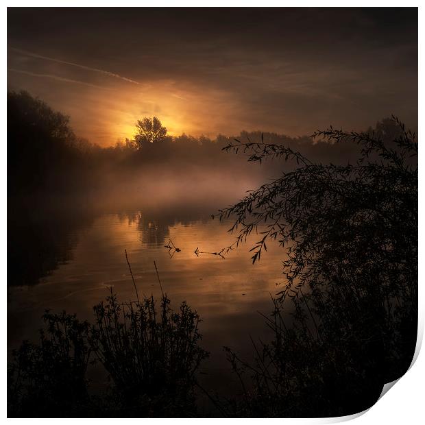 Sunrise over small pond Print by Nick Lukey